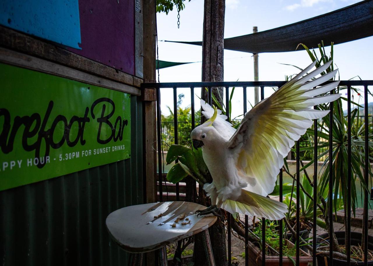 Backpackers By The Bay Pansiyon Airlie Beach Dış mekan fotoğraf