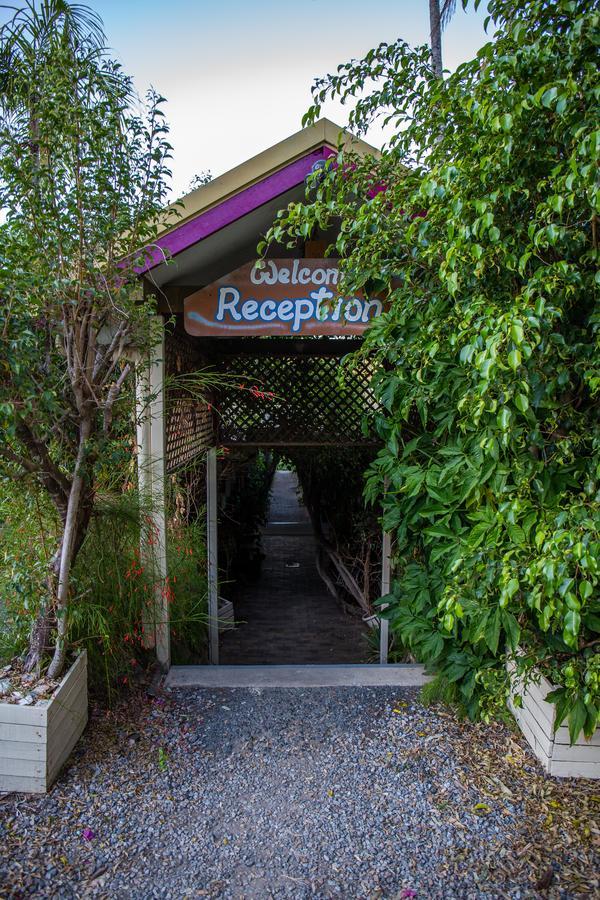 Backpackers By The Bay Pansiyon Airlie Beach Dış mekan fotoğraf